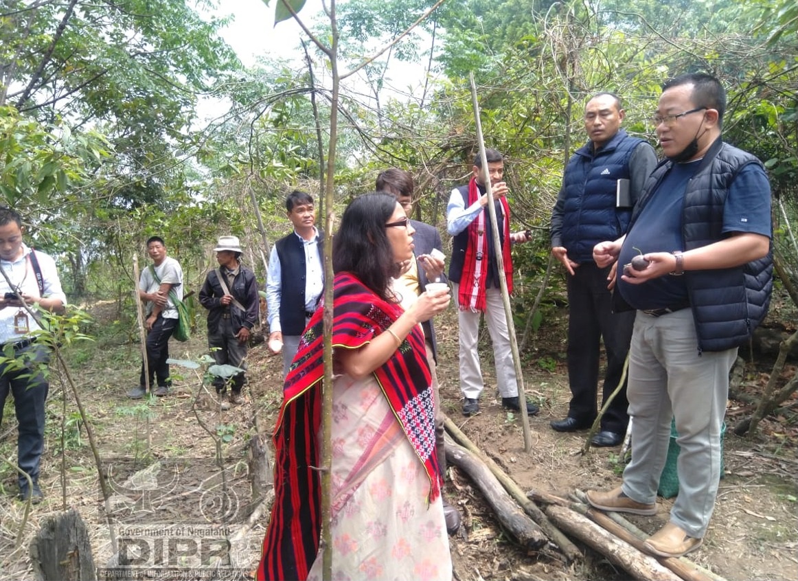 Inter Ministerial Central Team Visits Wokha District Dipr Nagaland Department Of Information 